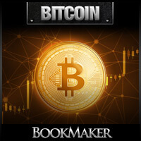 Bitcoin Price Plunge Worries Investors Bitcoin Price Plunge Worries Investors