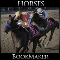 BookMaker.eu
