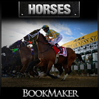 BookMaker.eu