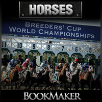 BookMaker.eu