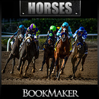 BookMaker.eu