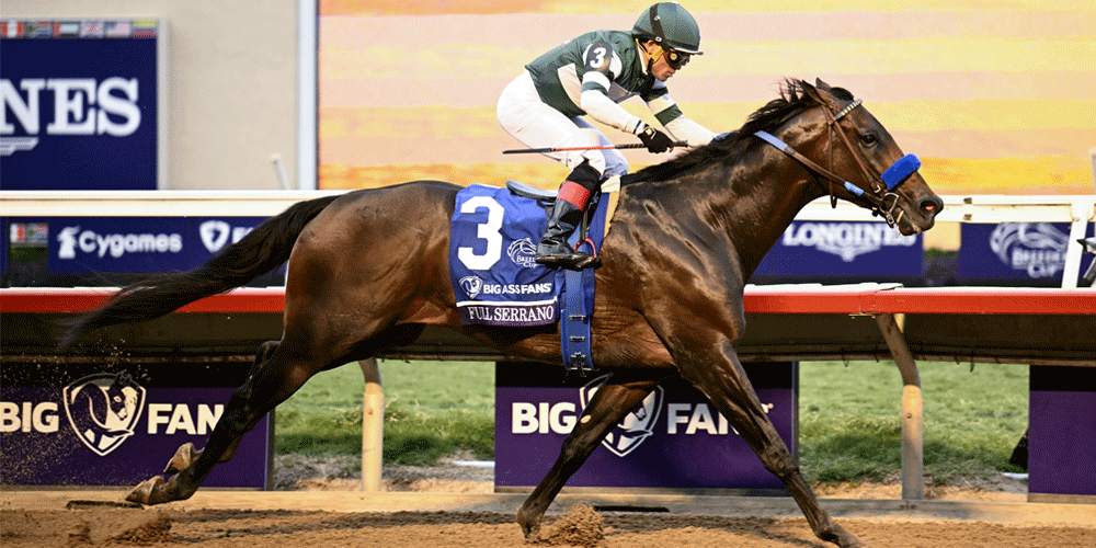 Horse Racing Breeders Cup Odds and Preview Horse Racing Breeders Cup Odds and Preview