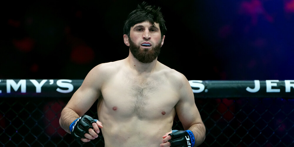 UFC 320 Ankalaev vs. Pereira Odds and Preview